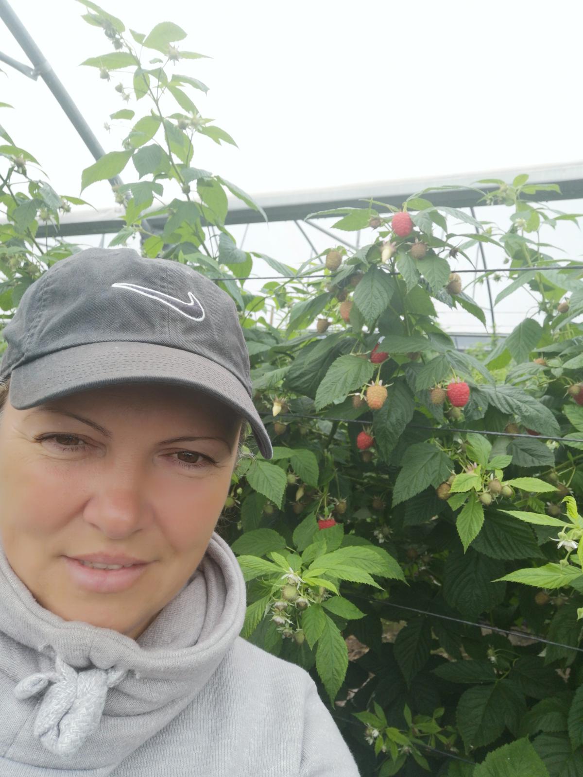 Trabalhadores no campo